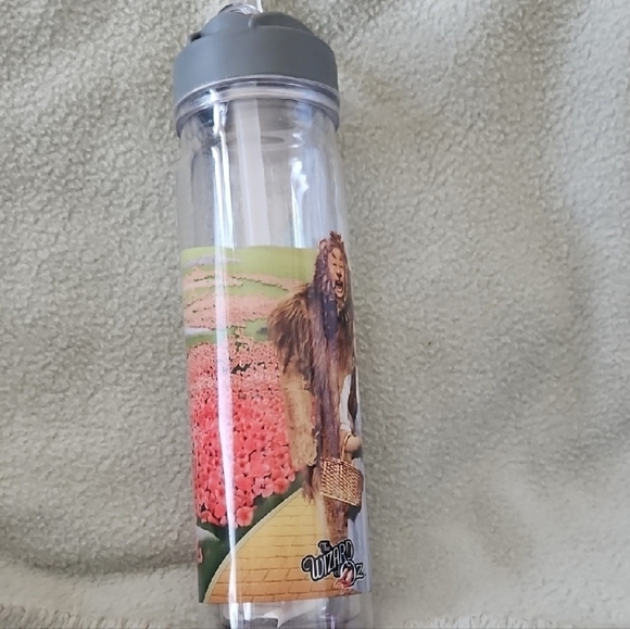 Gray Wizard of Oz Water Bottle - Picture 2 of 5
